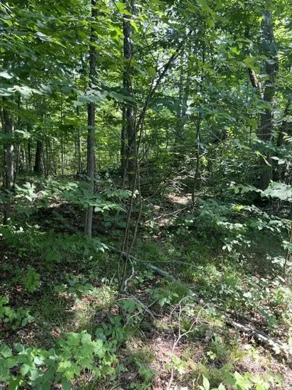 10 Ac N Sherman Road, Frederic