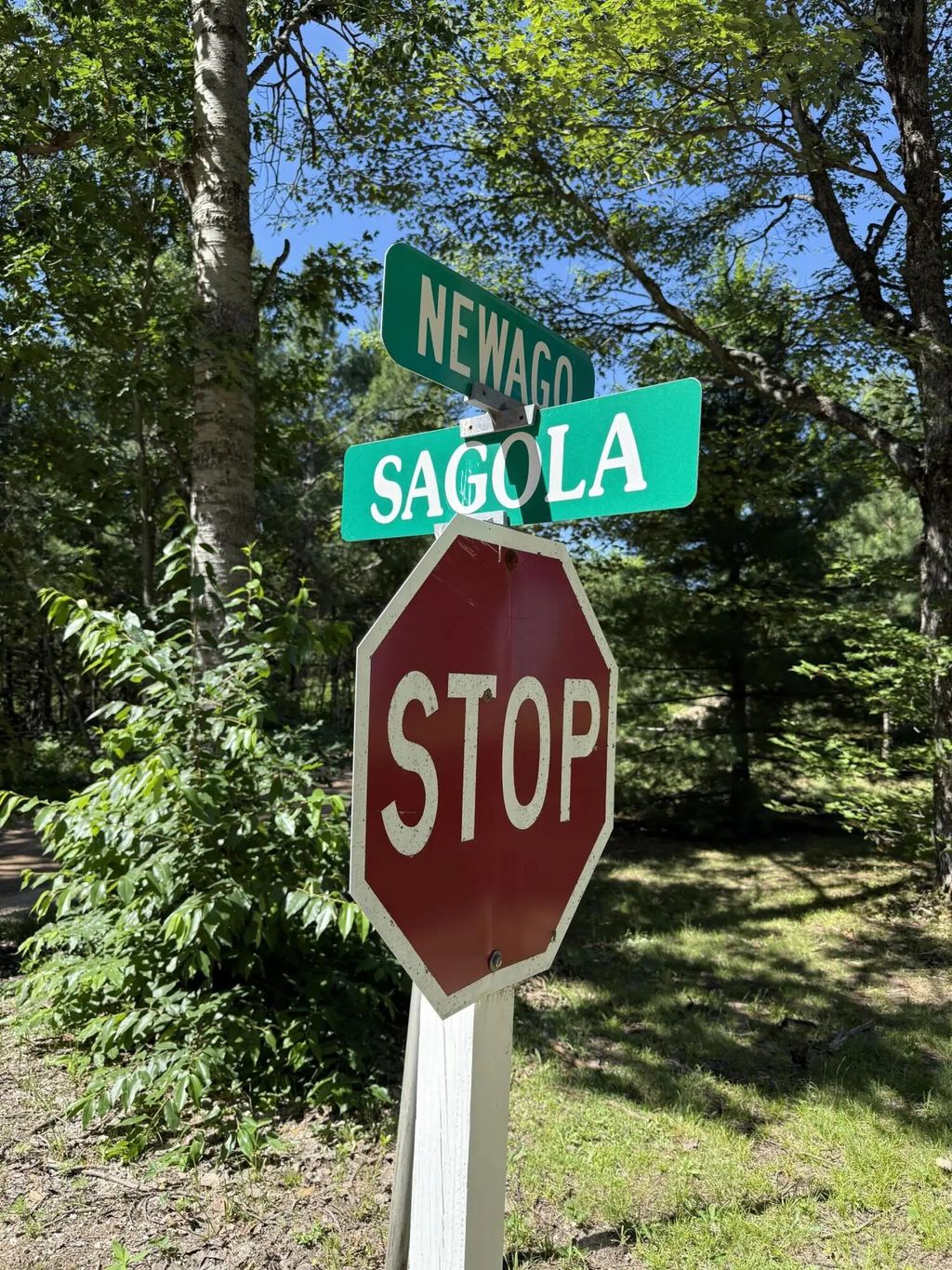 187 Newago Trail V/l, Gaylord