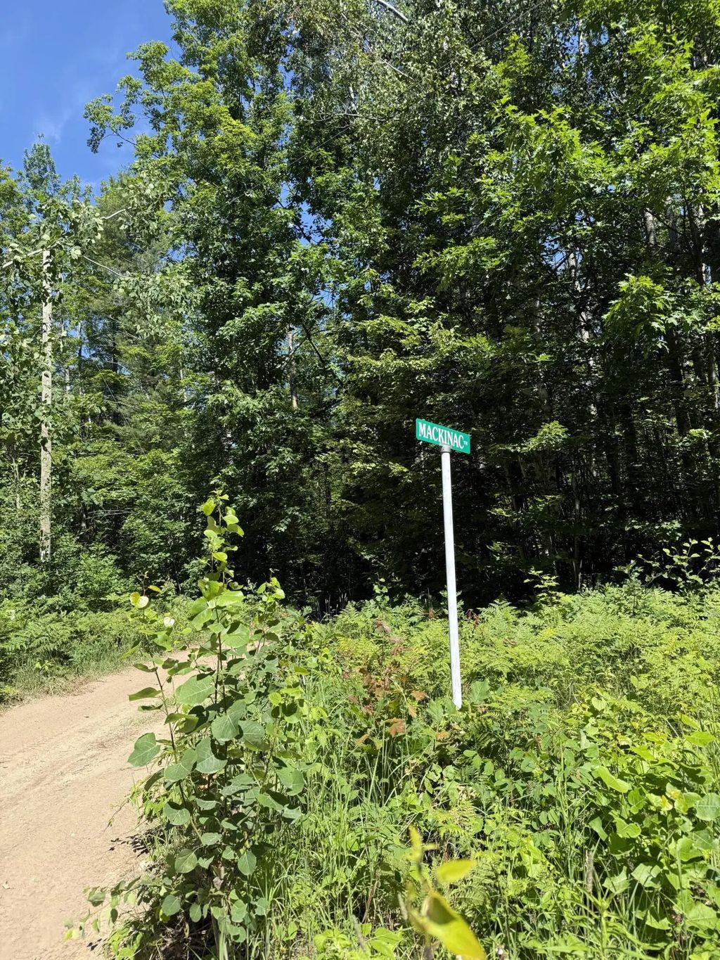 375 Mackinaw Trail V/l, Gaylord