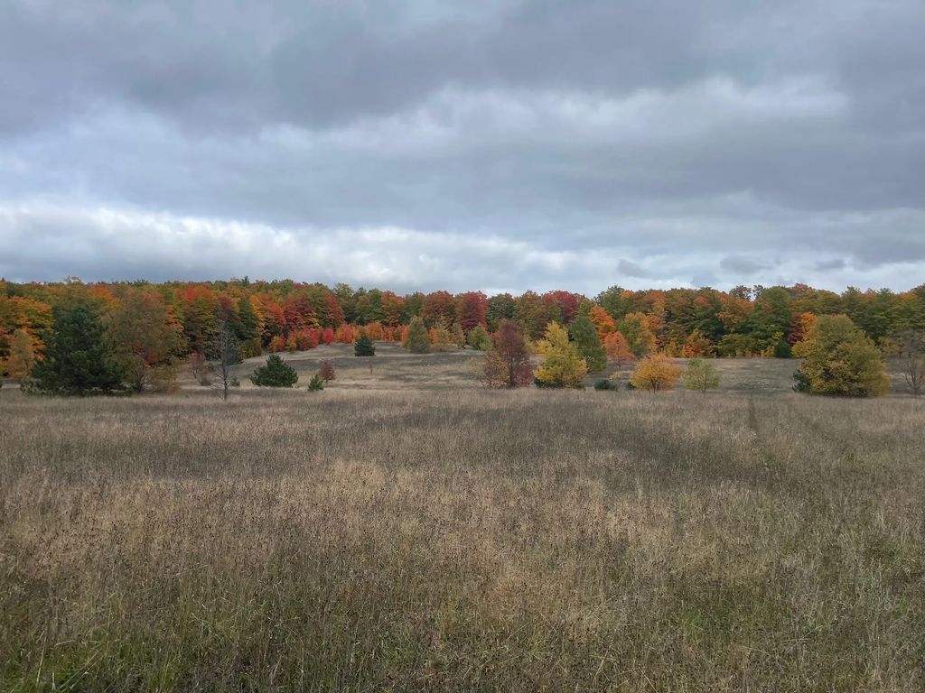 V/l 120 Ac Holiday Rd, Wolverine