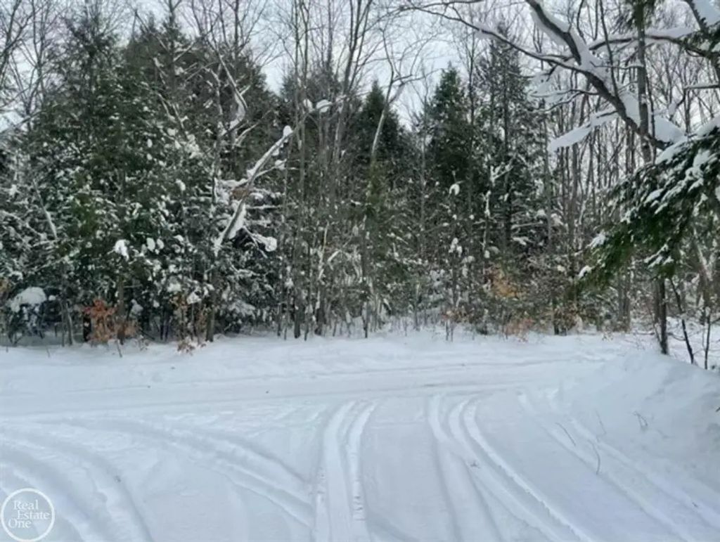 10 Acres Kenyon Trail, Frederic