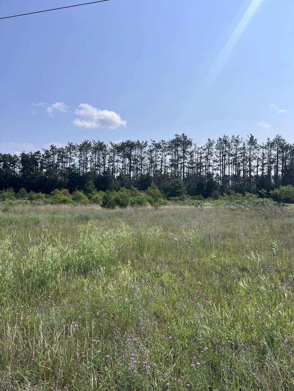 Expressway Court Lot 5, Gaylord
