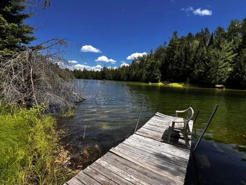 14709 E Shoreline Drive Lot 37, Wolverine