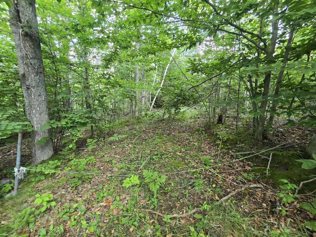 V/l Chippewa Trail Lot 62-64 1.01 Ac, Johannesburg