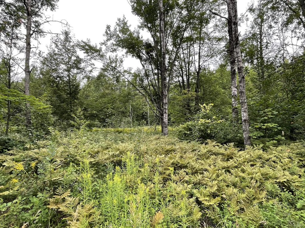 Lot 95 &96 Snowridge Drive, Elmira