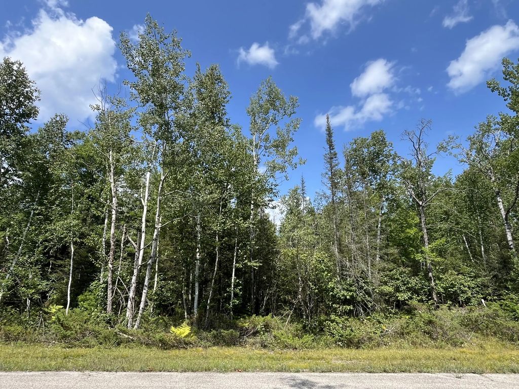 Lot 132 Wilderness Drive, Presque Isle