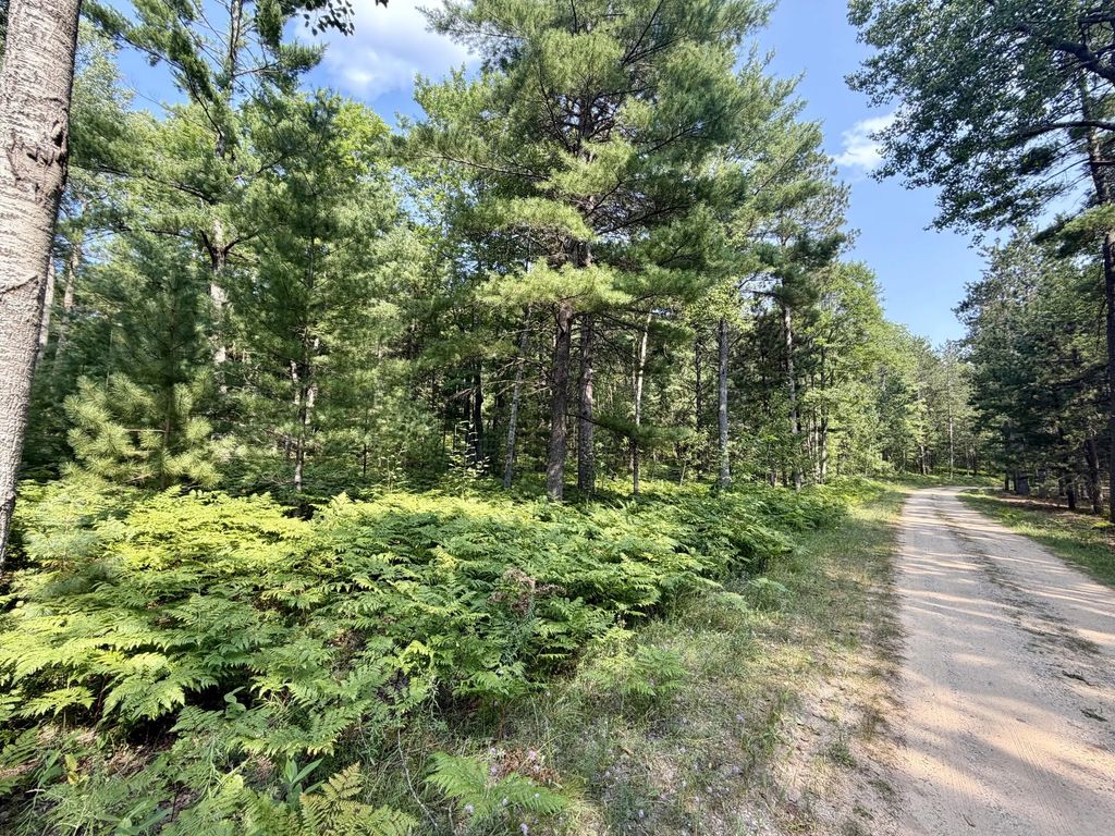6 Acres Nature Ridge Trail, Vanderbilt