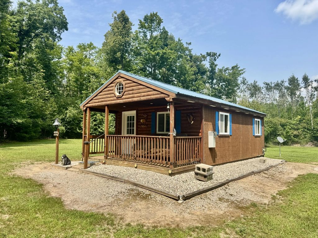 1304 Tabitha Trail 10+/- Acres, Mio