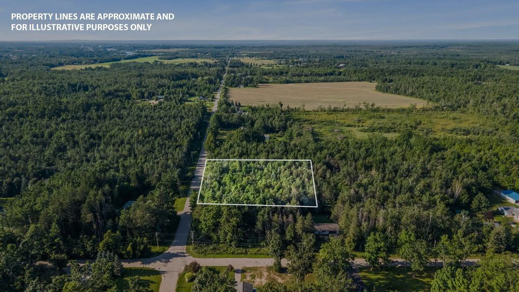 V/l 1.16ac Galbraith, Cheboygan