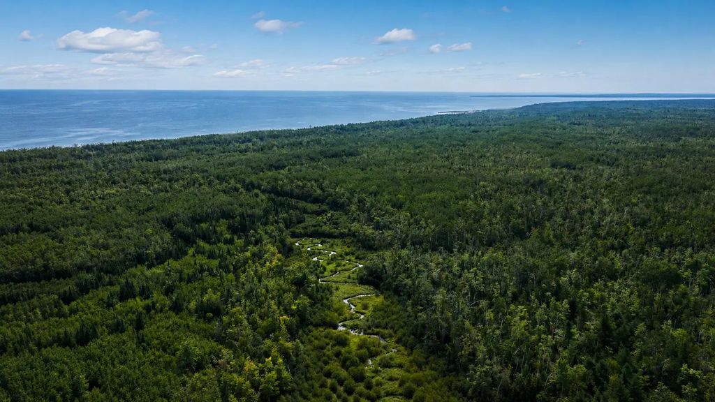 Vl N Fork Road 86 Acres, Millersburg