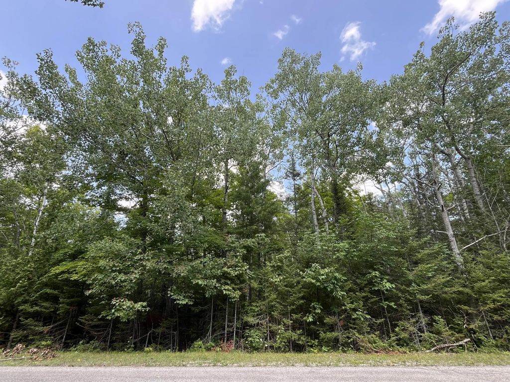 Lot 46 Renwick Circle, Presque Isle