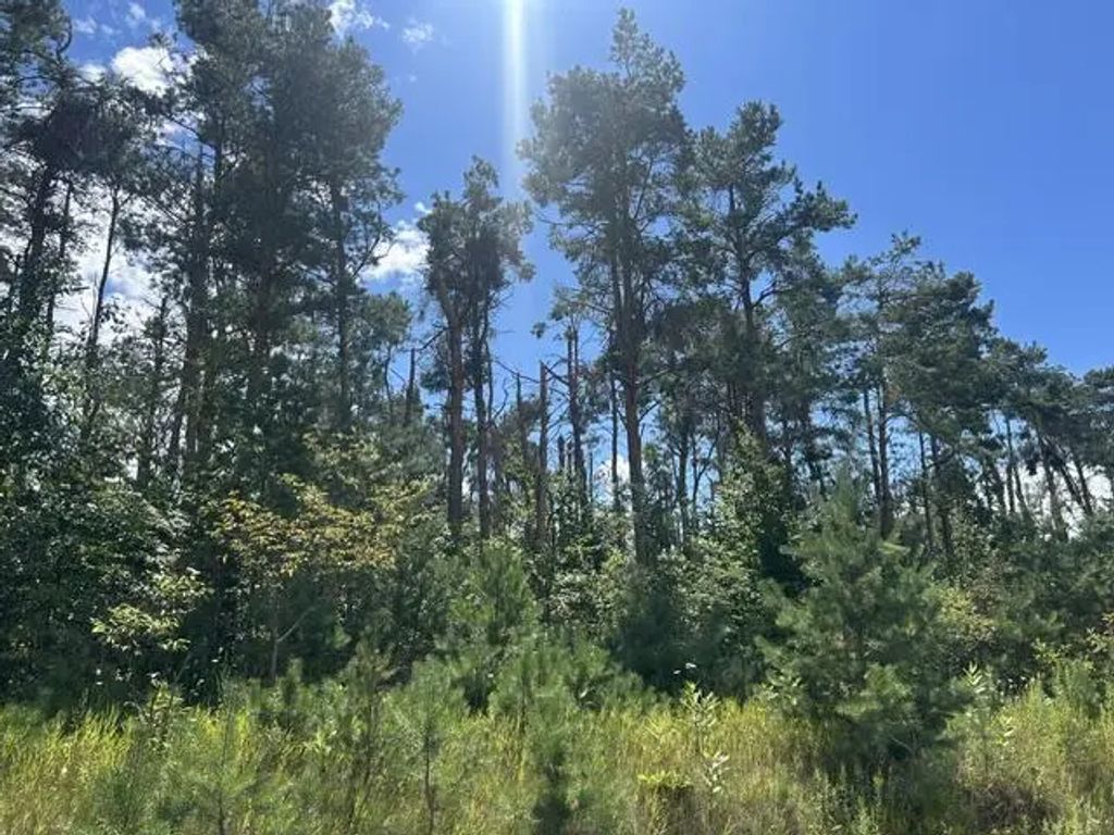 Parcel 6 W Mccoy Road, Gaylord