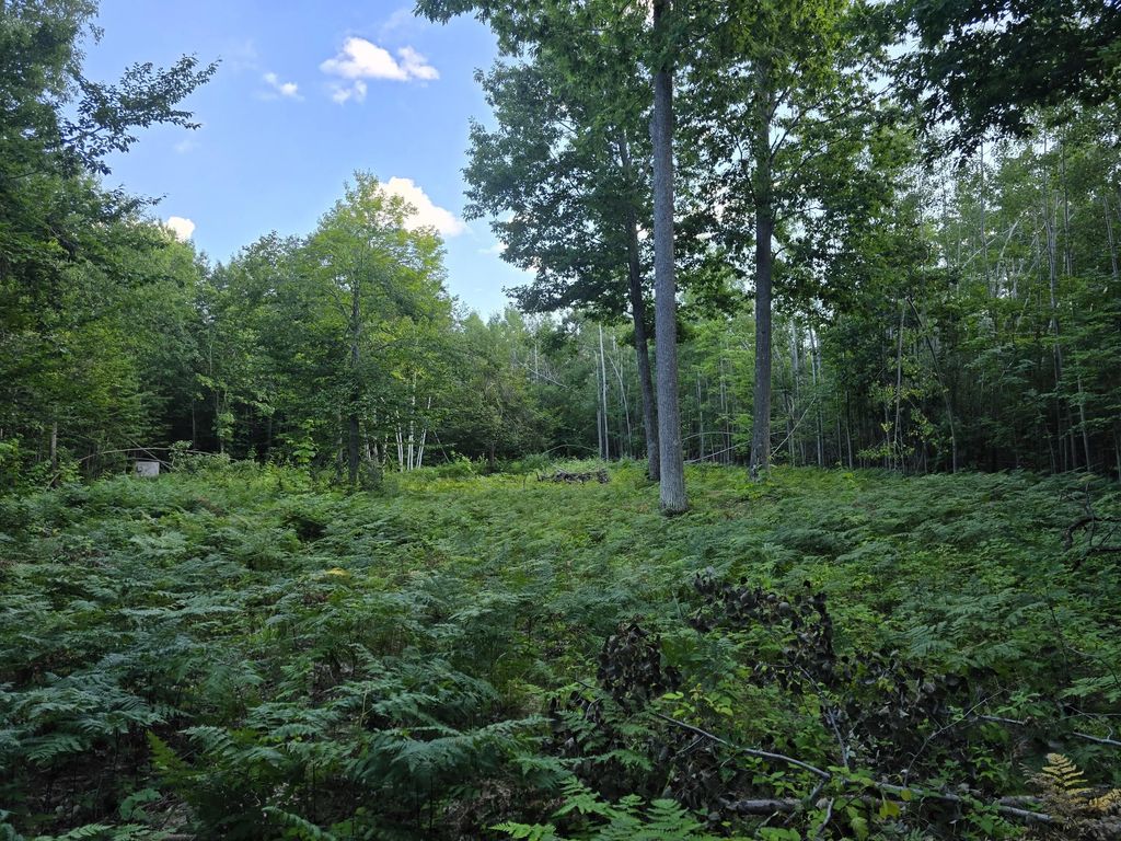 2926 White Oak Trail, Cheboygan
