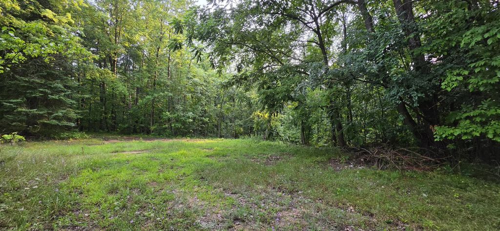 7925 Michigan 18, Gladwin