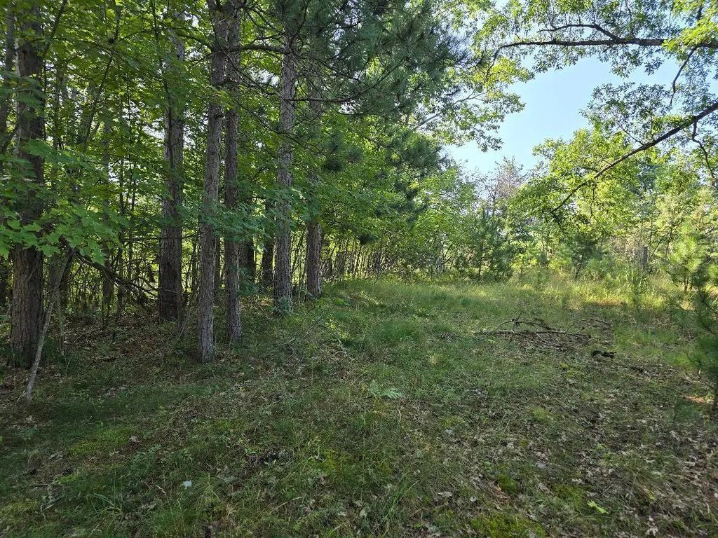 12457 Lake Emma Road, Hawks