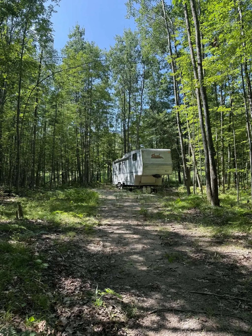 1128 N Hubbard Lake Road, Lincoln