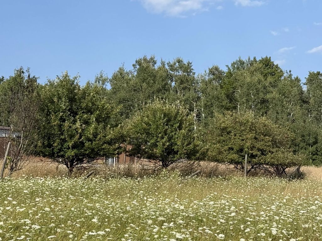 1038 N Ocqueoc Road, Millersburg