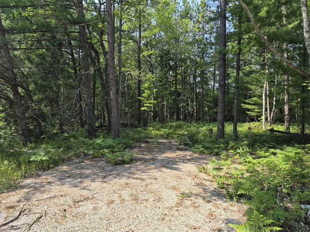 V/l Chippewa Trail Lot 64 & 65, Rogers City