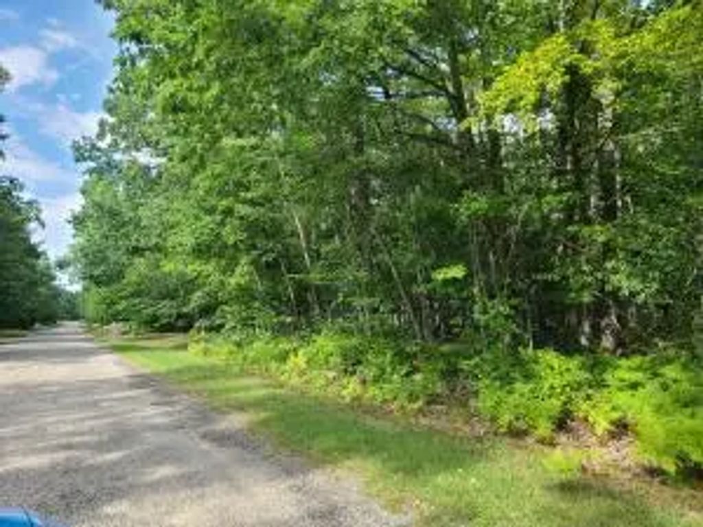 V/l Wolverine Trail Lots 488-491, Gaylord
