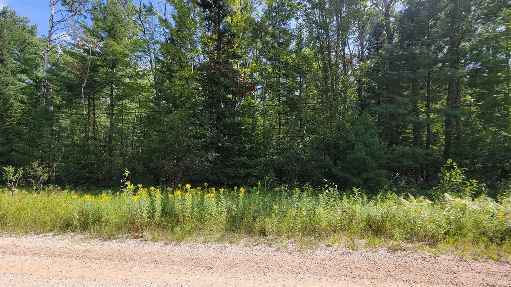 15907 Avenue Du Chalet 15111, 15157, Wolverine