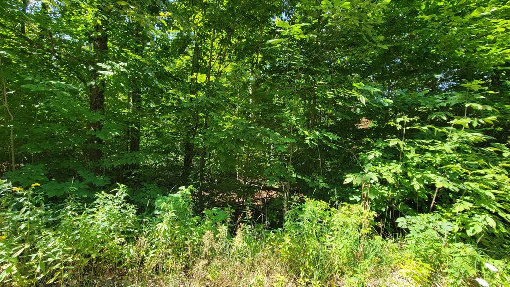 Lot 223 Beechnut Ln, Wolverine
