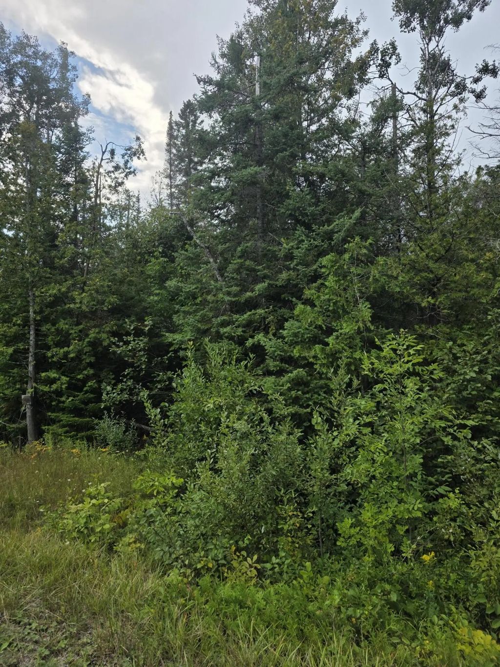 V/l Klee Road 10.02 Acres, Rogers City