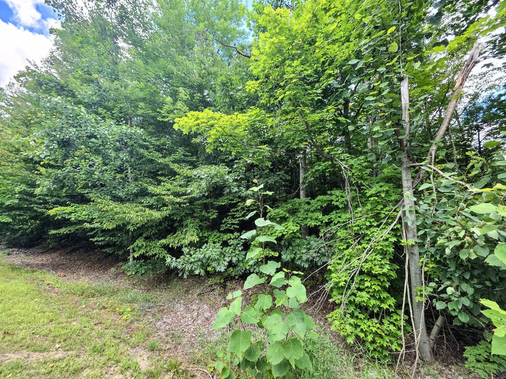 Lot 56 Deepwoods Drive, Gaylord