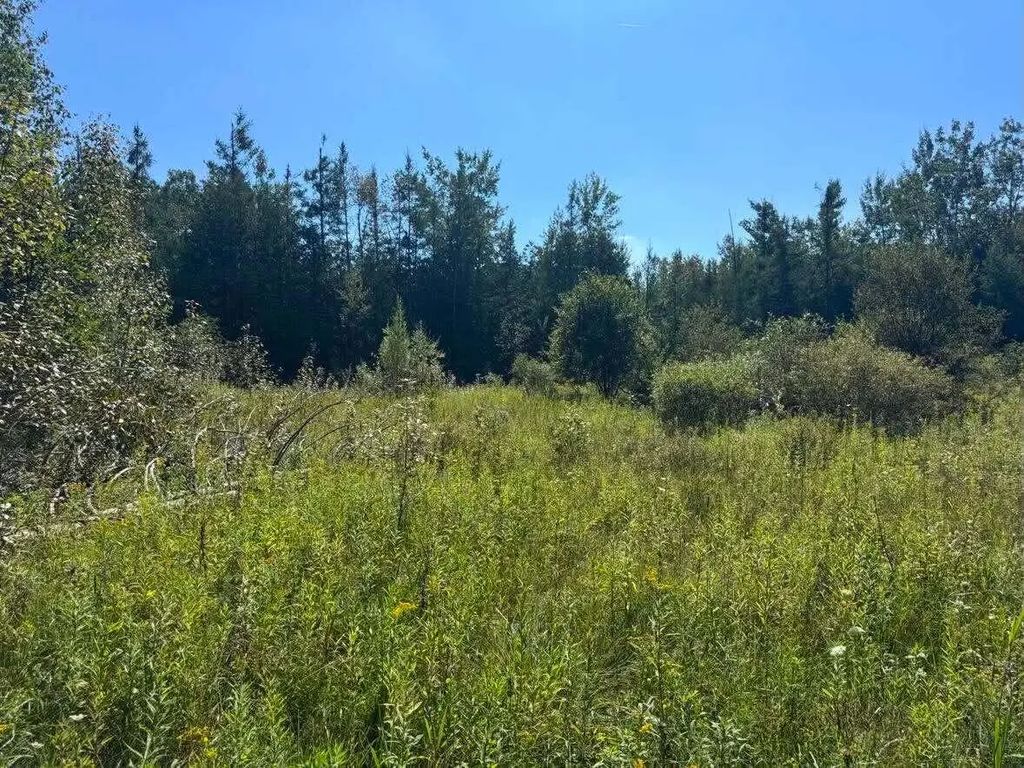 V/l 36.8ac Boilore Road, Alpena
