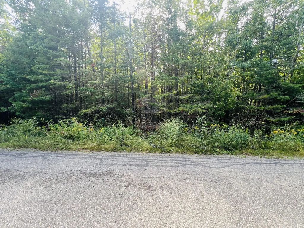 8710 Cordwood Trail Lot 502, Cheboygan
