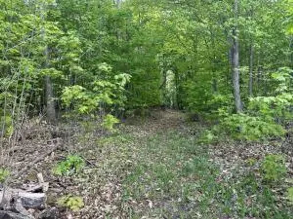 8657 W Black Lane Lot 18, Cheboygan