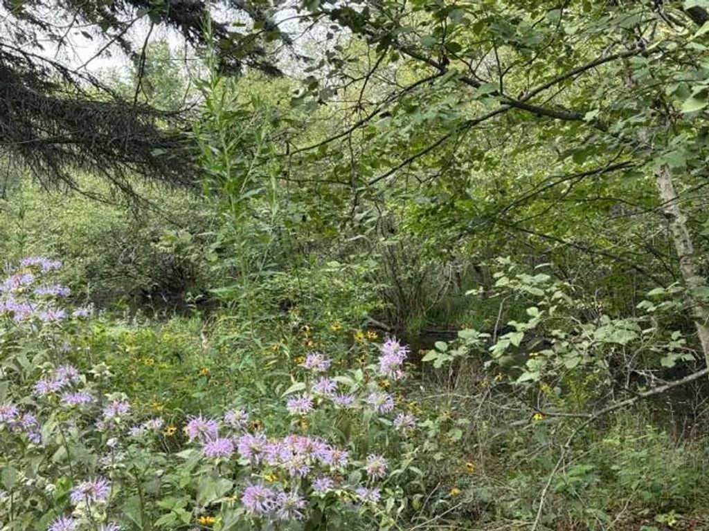 Lot 423 Luce Ne, Houghton Lake