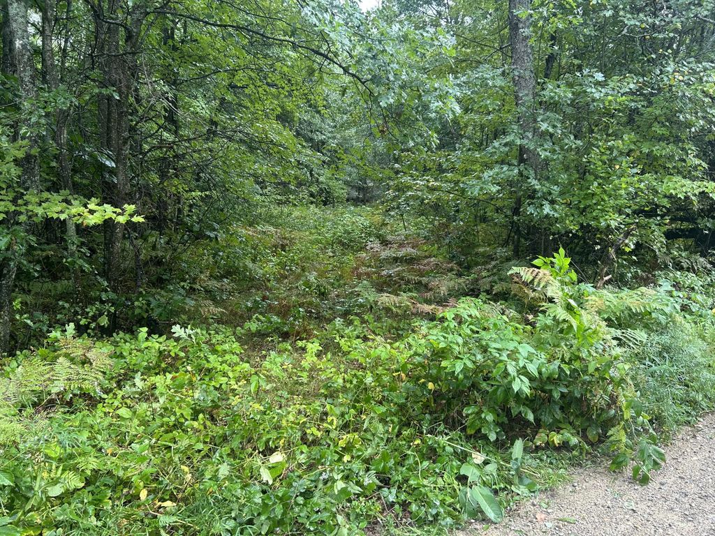 Lot 83 Homecrest Drive, Houghton Lake