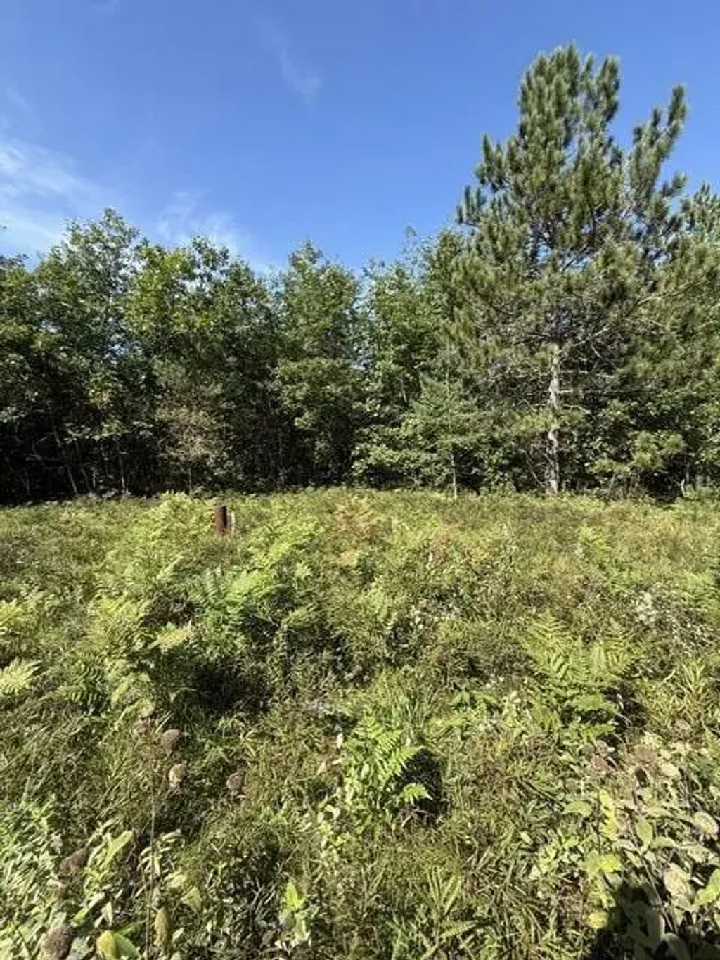 V/l 5 Ac Timber Trail Court, Lewiston