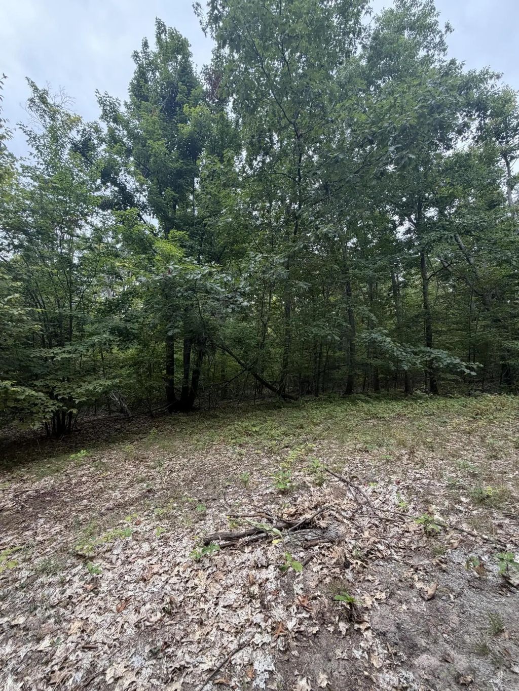 V/l 10ac Oakhaven Drive, Afton