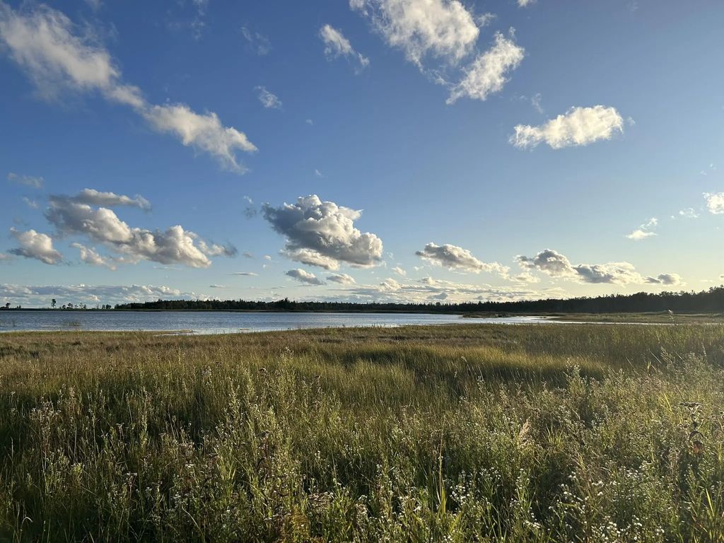 Epoufette Bay Road 2.76 Acres, Naubinway