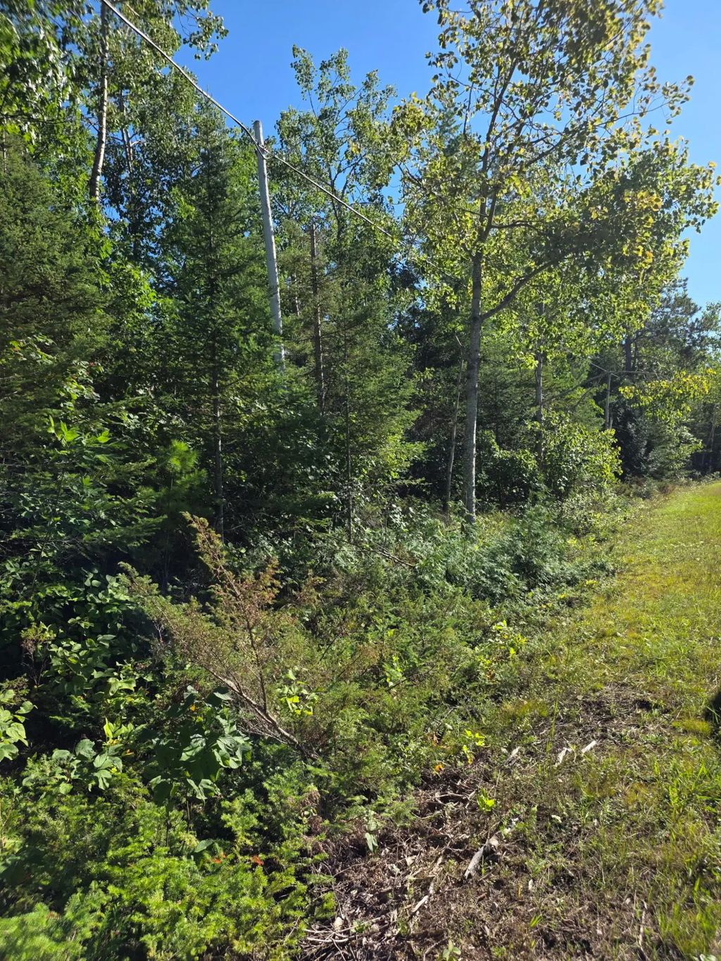 261 Pineview Drive, Presque Isle