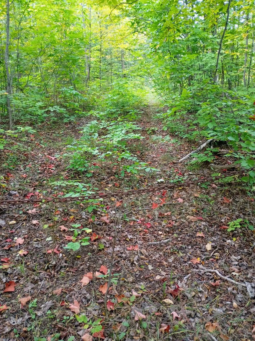 V/l 116ac Clinton Creek Road, Presque Isle