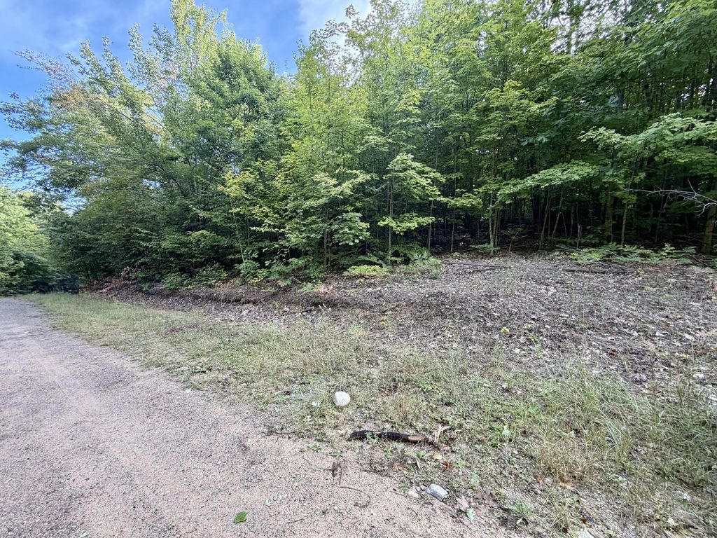 5.6 Acres Deerfield Trail, Boyne Falls
