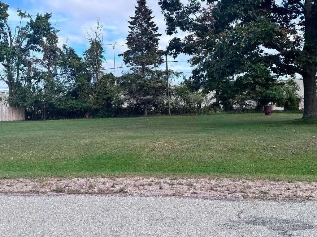 V/l Anthony Street, Alpena