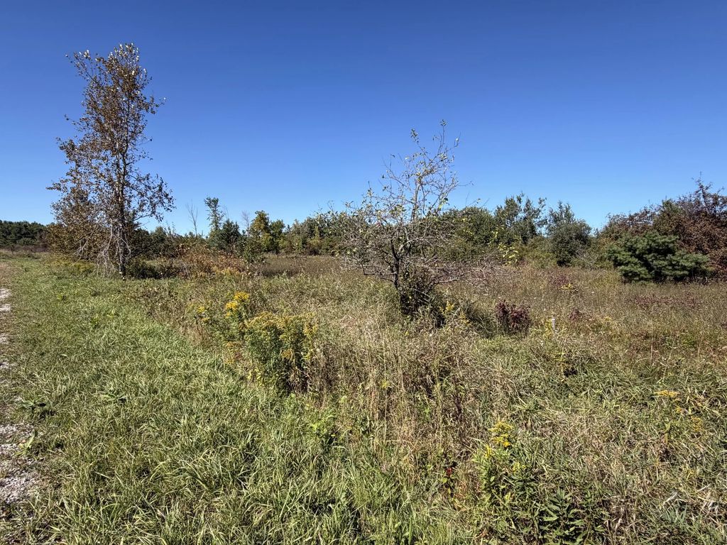 N Straits Highway Parcel 2, Cheboygan