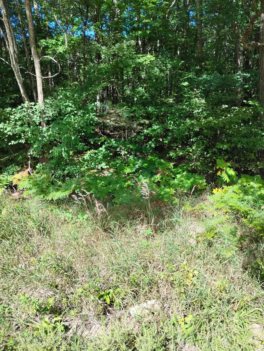 55 Knapp Road, Houghton Lake