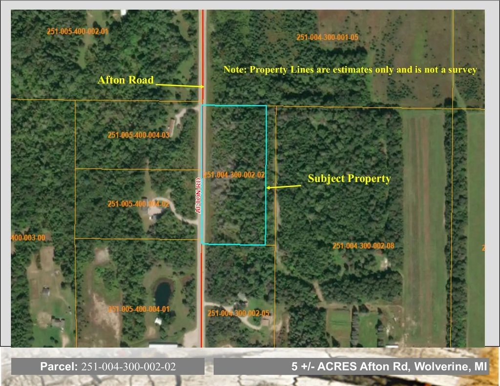 Vl Afton Road 5 +/- Acres, Wolverine