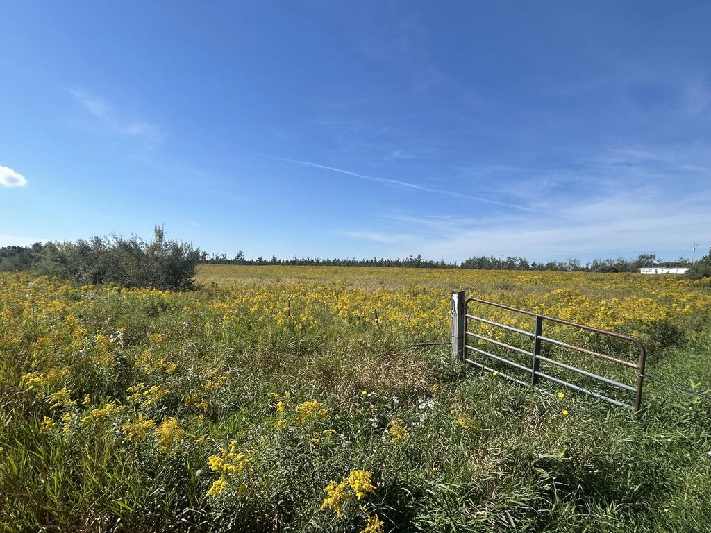 V/l Coville Road 137.31 Acres, Lincoln