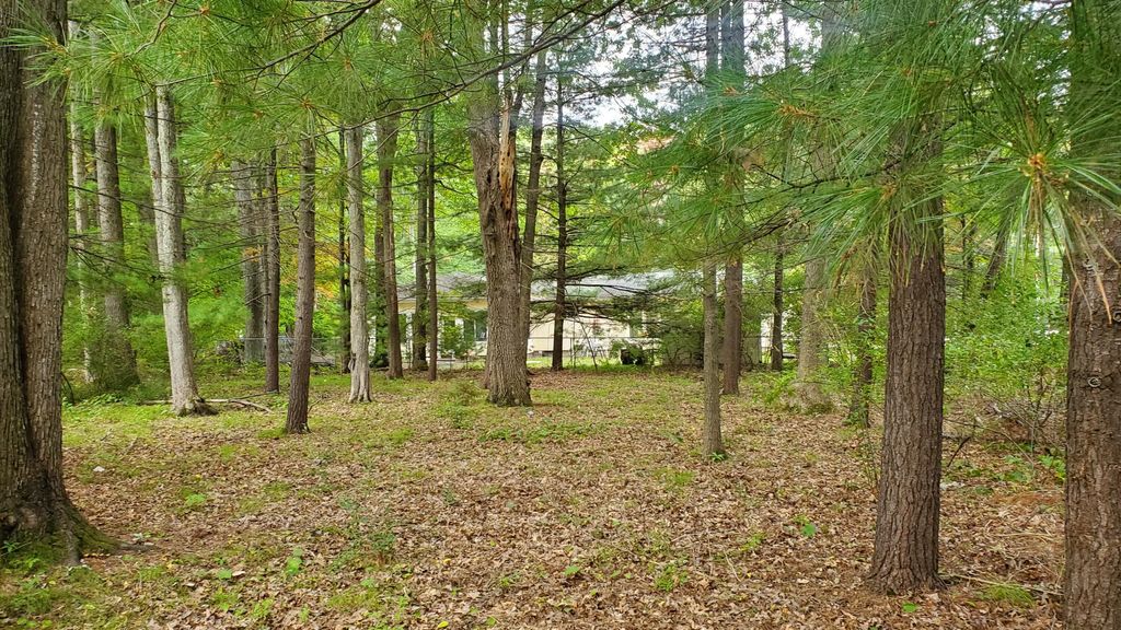 V/l Oakwood Avenue Lots 10 & 11, Prudenville