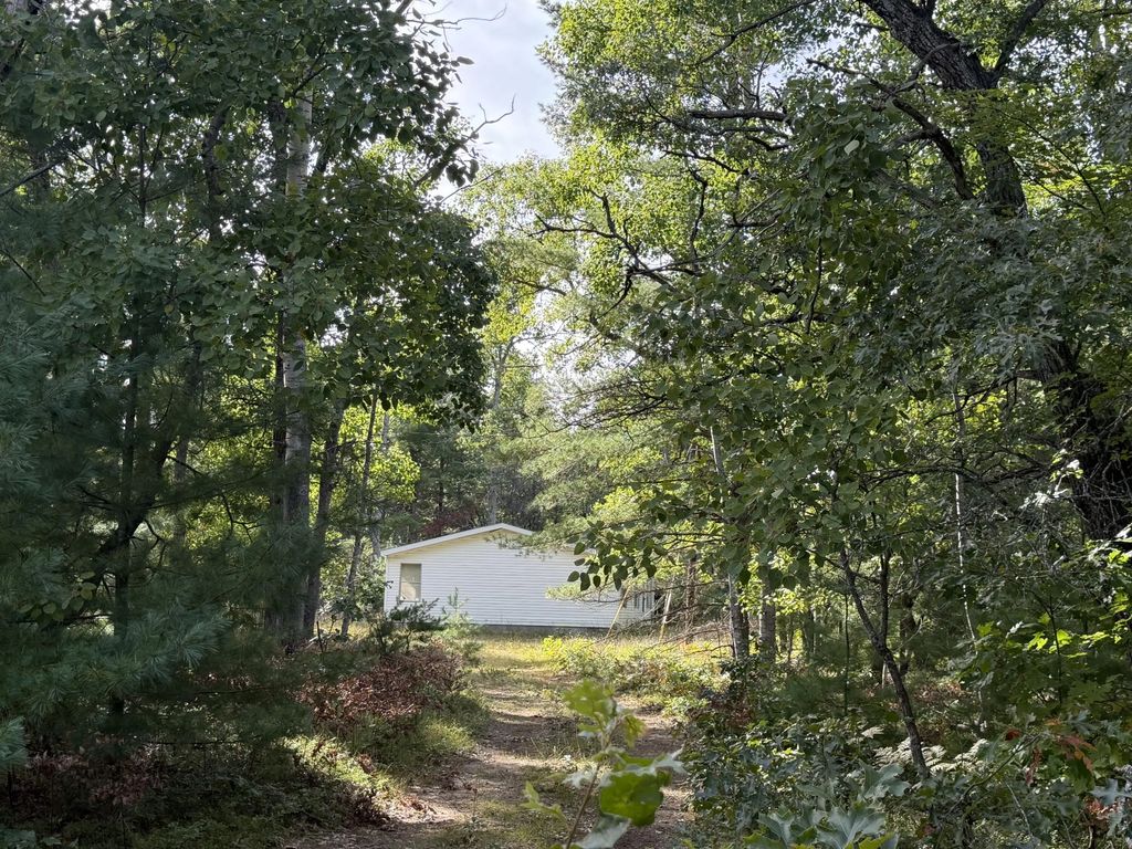 21331 Red Oak Trail, Hillman