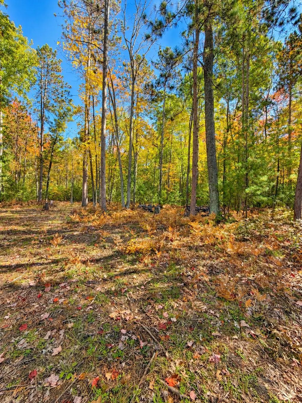 1350 N St Helen Road, St. Helen