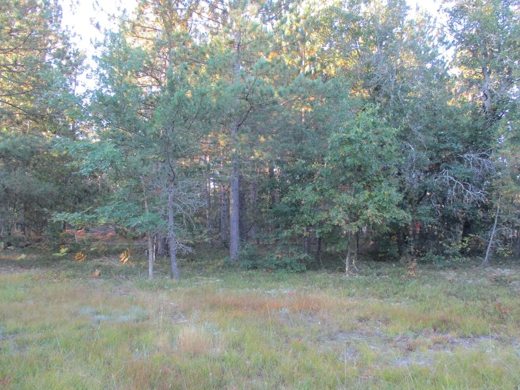 1540 S Stephan Bridge Road 2.5 Acres, Grayling