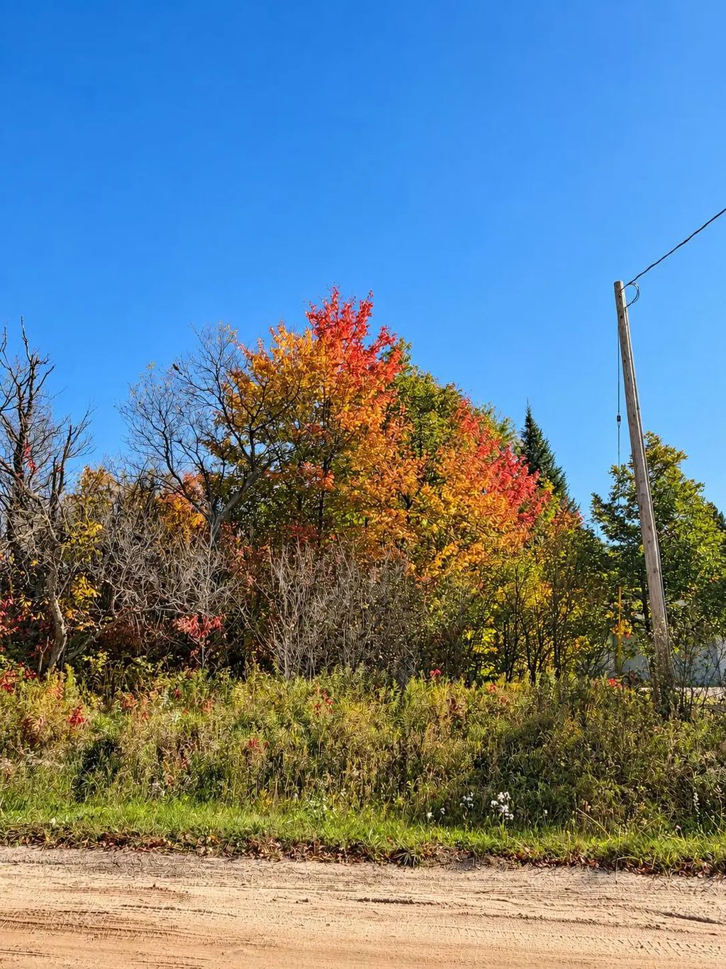 V/l .69ac E West Branch Road, St. Helen