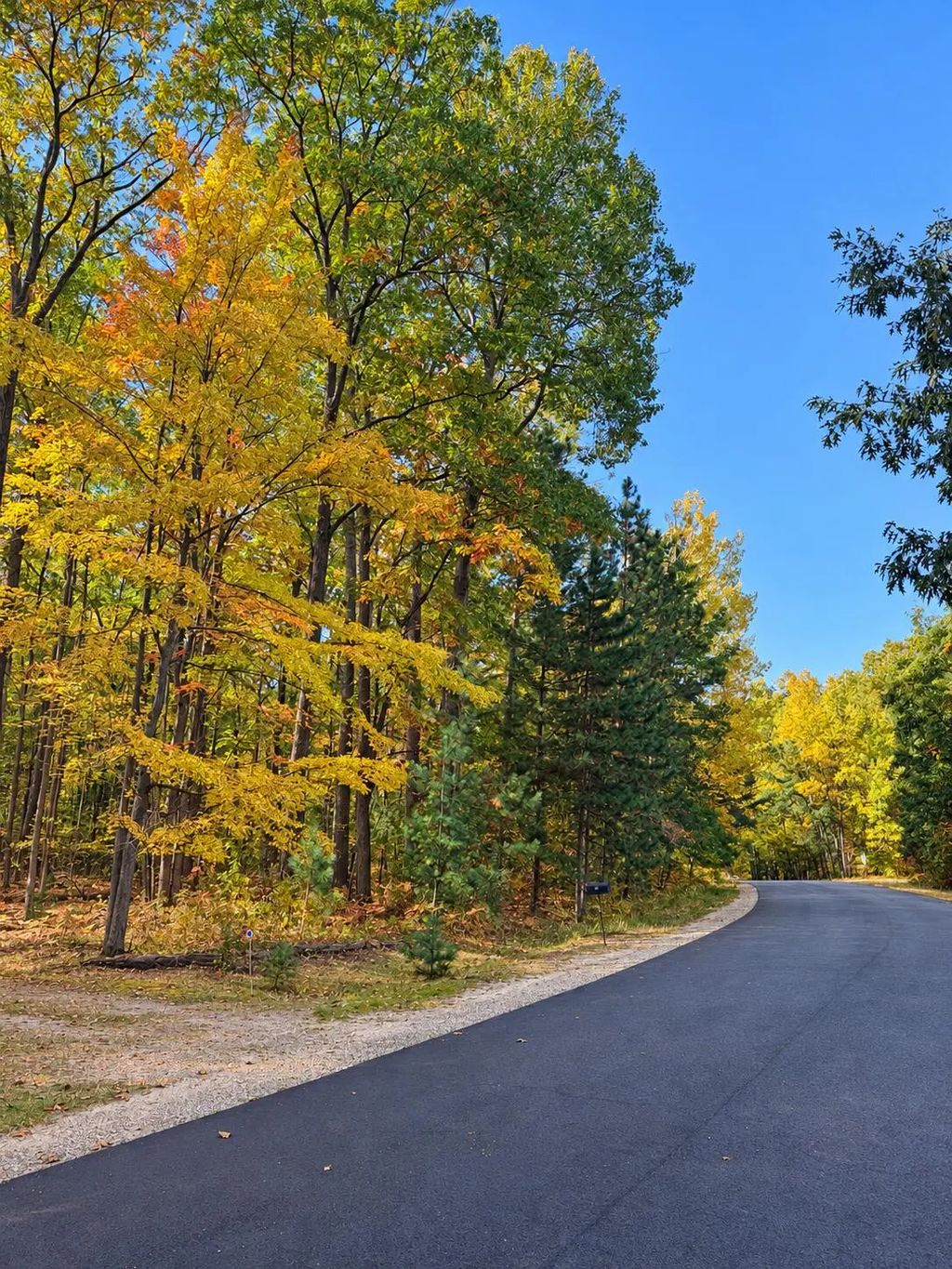 V/l .63ac Indian Wood Drive, Roscommon