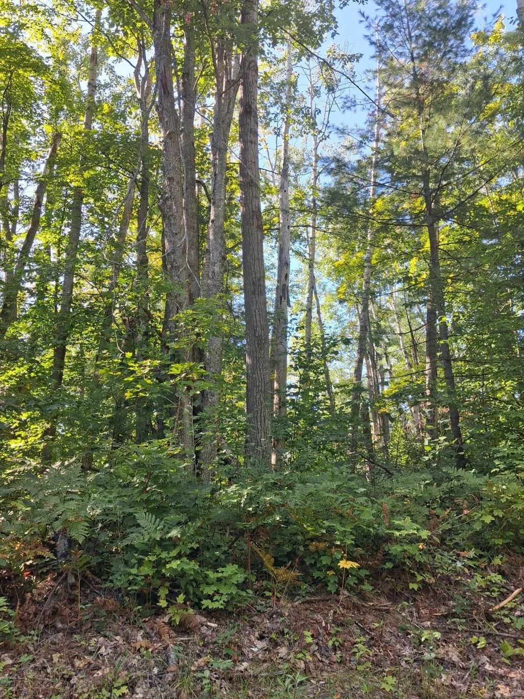 V/l .52ac Cree Trail, Gaylord